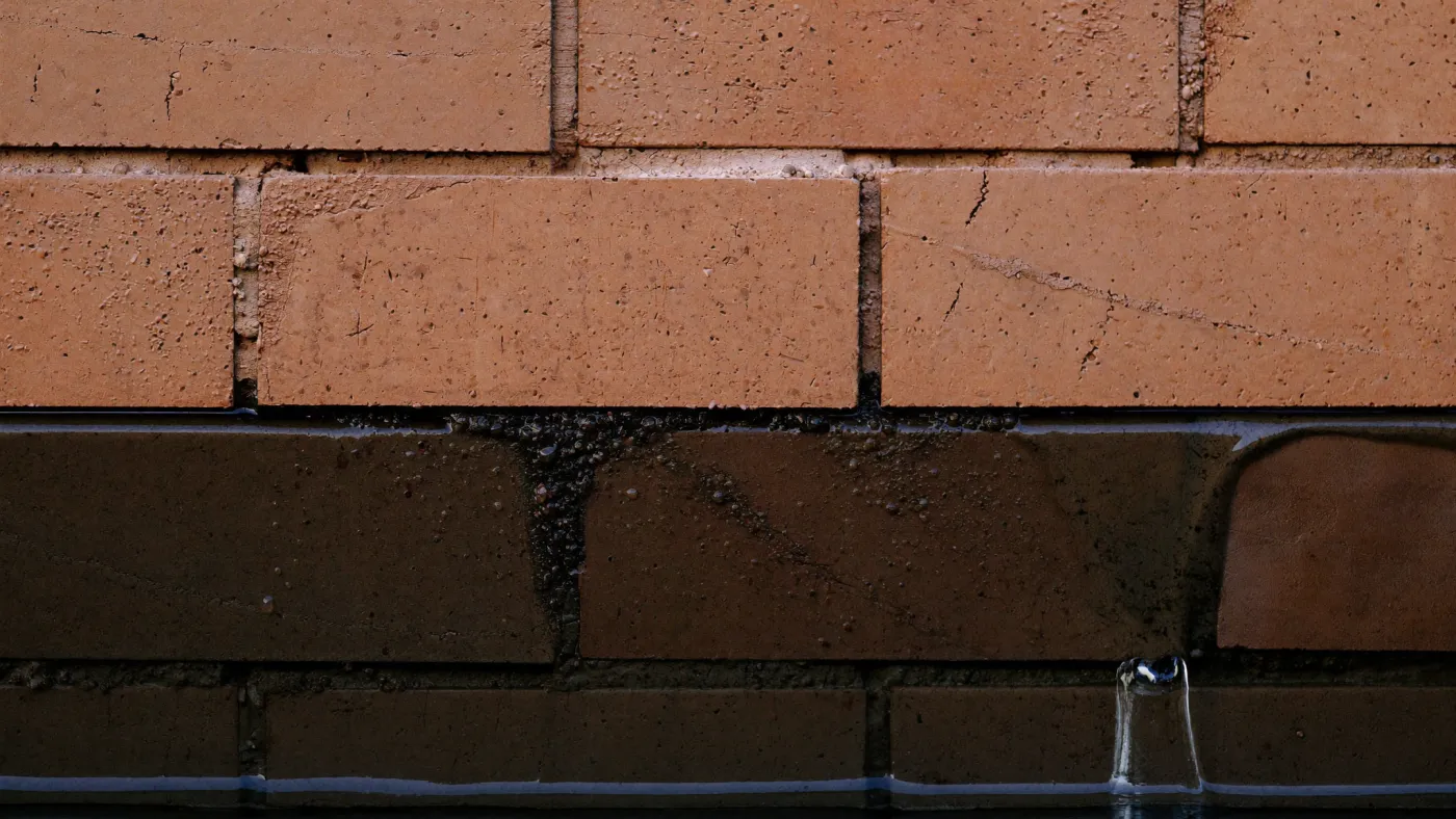 The marks left by damp rising in a wall through capillary action