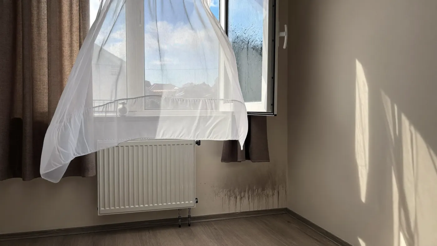 Feuchte Wand, die im Haus zu Feuchtigkeits- und Modergeruch führt
