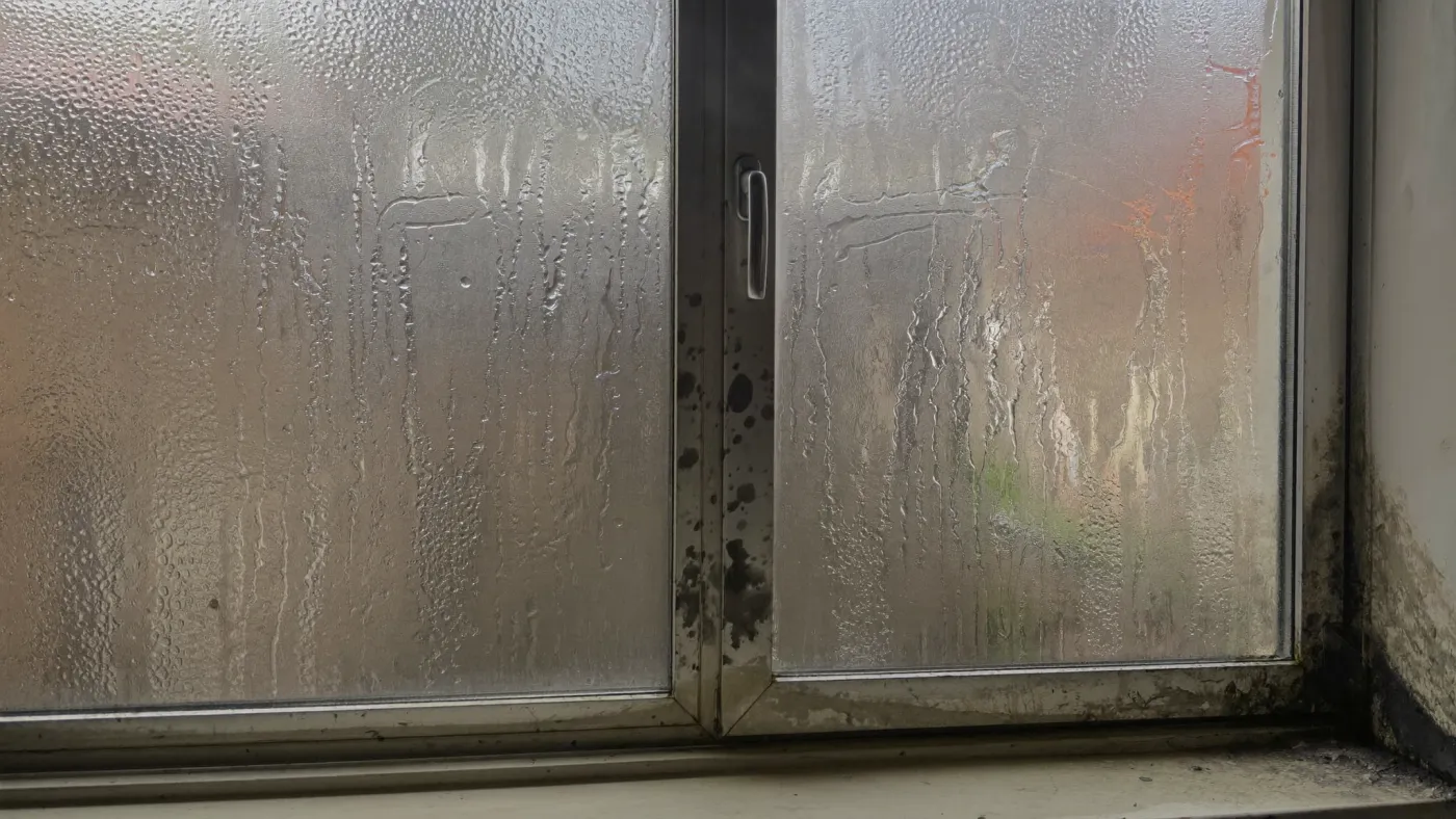 Condensation (sweating) damp on a window and wall