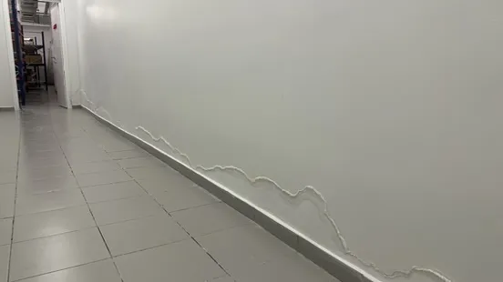Yükselen nemin belirtileri: nem lekesi ve tuz çiçeklenmesi