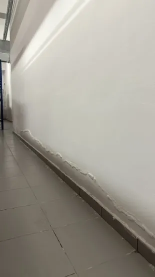 Yükselen nem sorunu olan duvar
